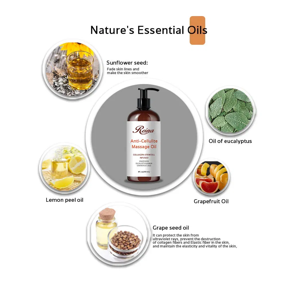 China Manufacture Hot Sale Low MOQ OEM/ODM Cosmetic Packaging Container Glass Perfume Bottle Massage Essential Oil Bottle with Plastic Lid Dropper Cap